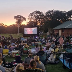 Mega 6×4 outdoor screen setup